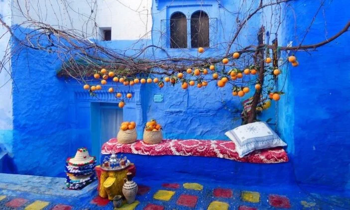 Safsavan-hakkinda-bilmeniz-gerekenler3-703x422