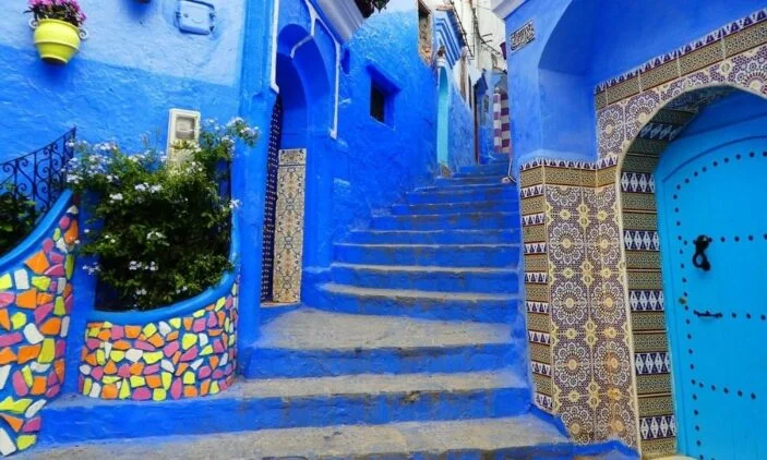 Safsavan-hakkinda-bilmeniz-gerekenler4-703x422