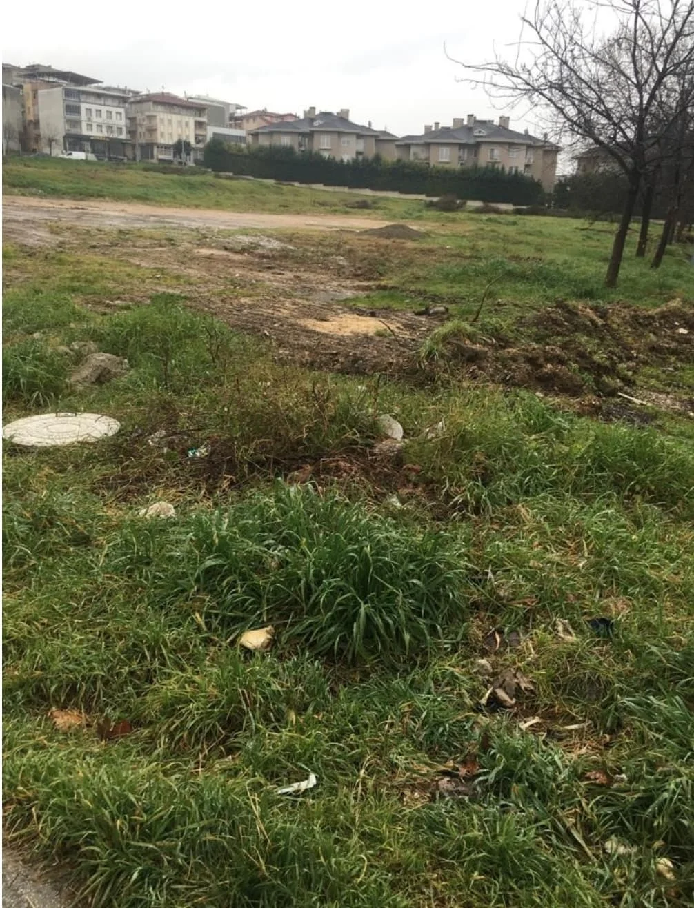 Screenshot_20240221_201113_Samsung Internet