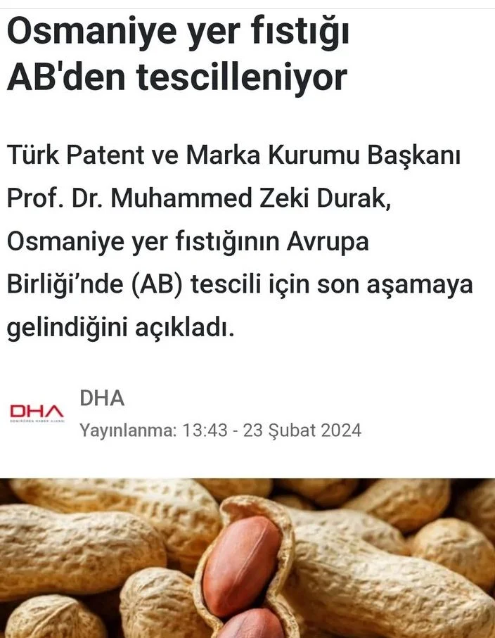 Screenshot_20240224-122857