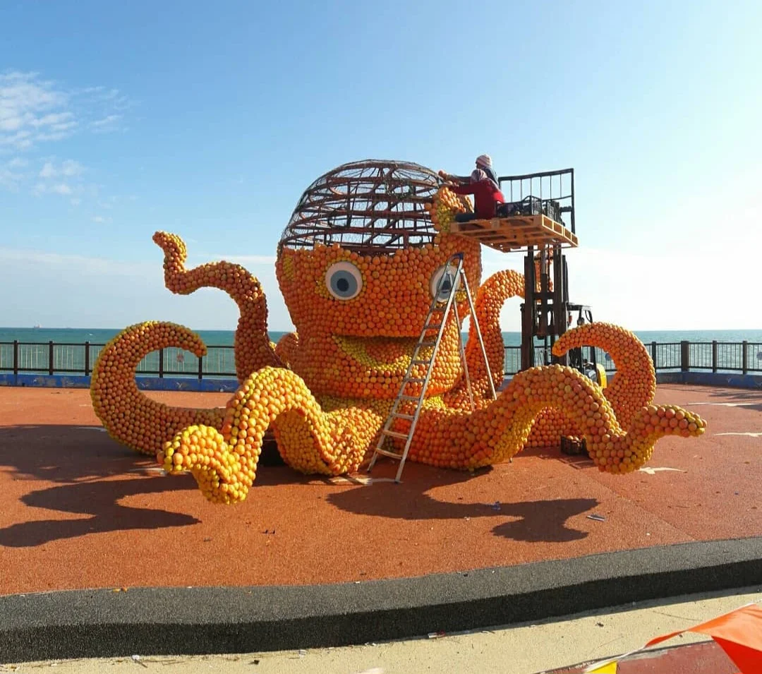 Screenshot_20240305_143239_Instagram