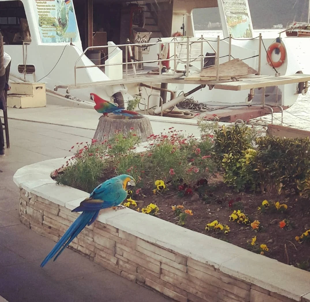 Screenshot_20240305_150759_Instagram