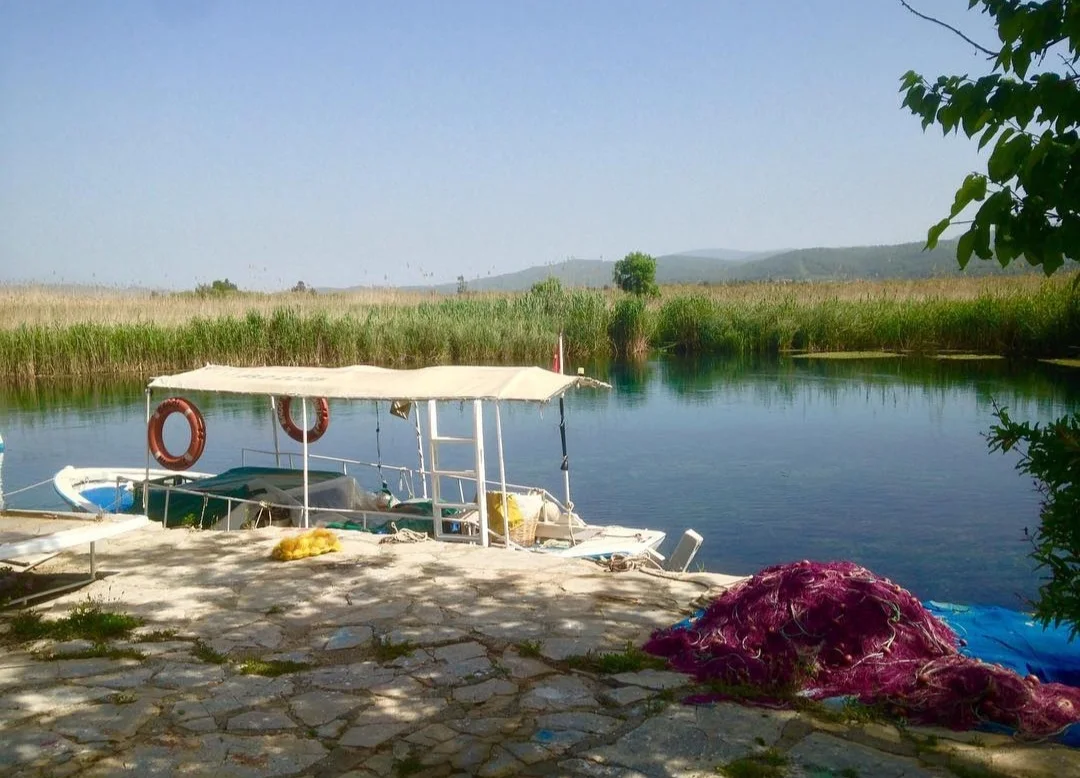 Screenshot_20240305_161842_Instagram