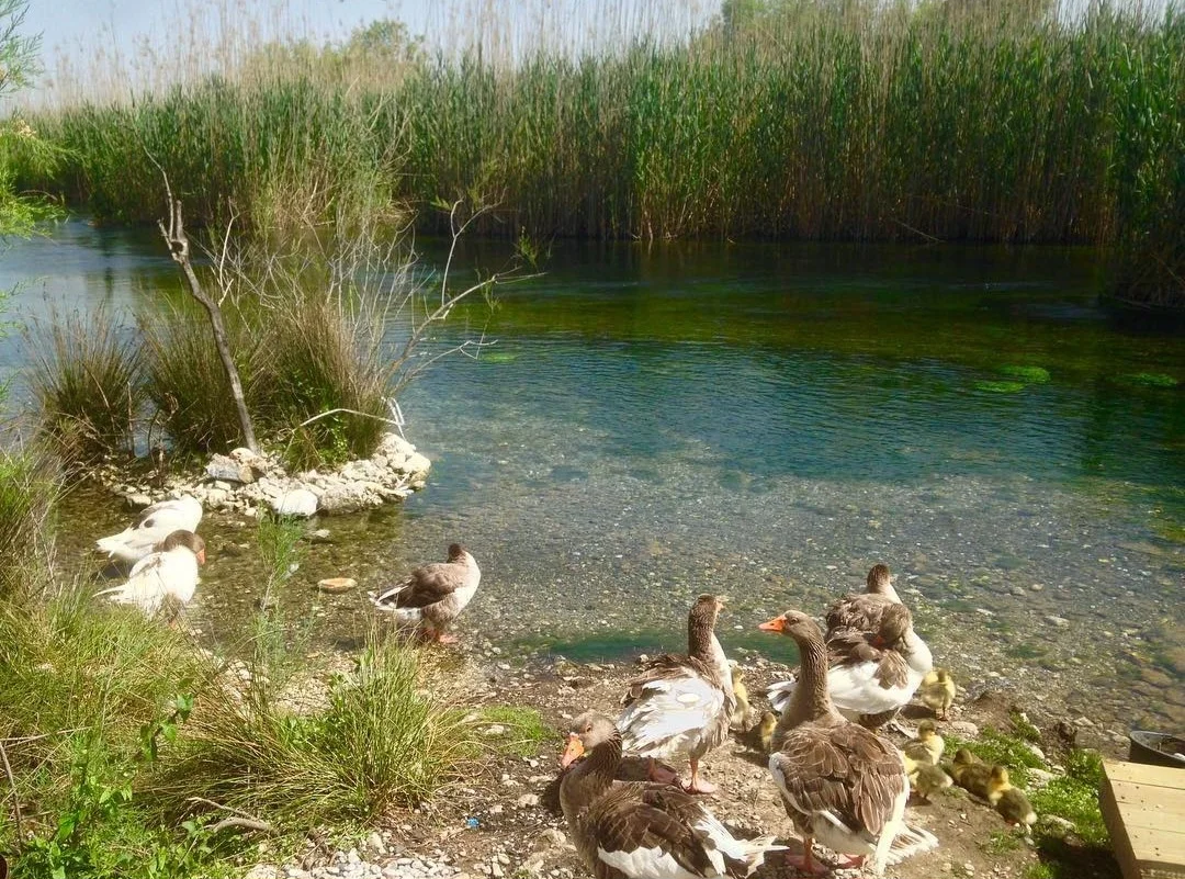 Screenshot_20240305_161909_Instagram