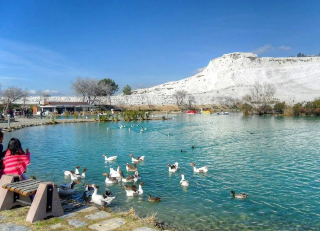 Screenshot_20240305_224535_Facebook