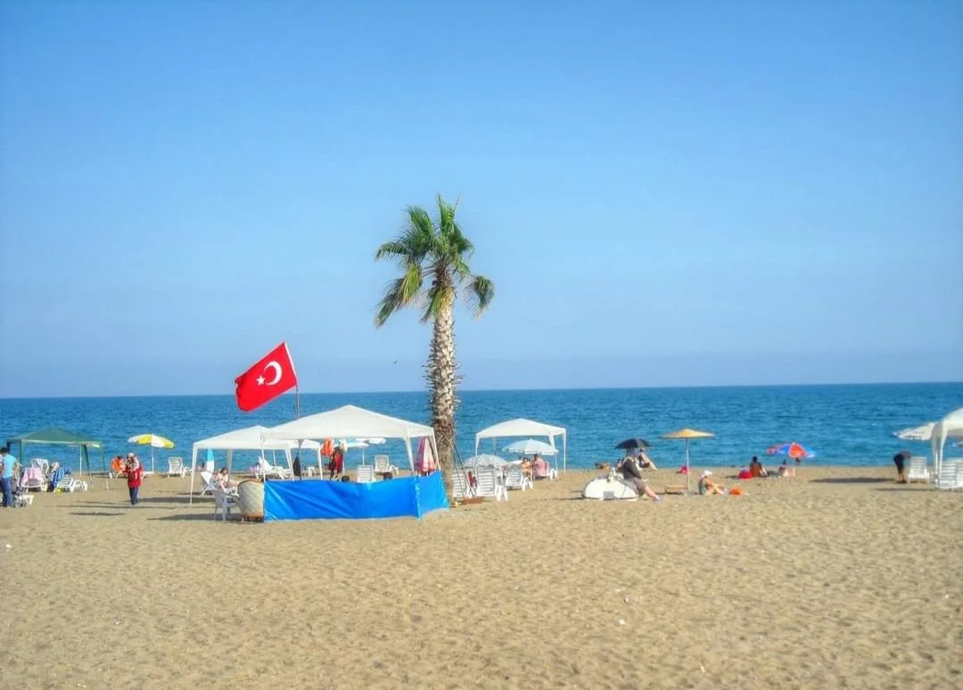 Screenshot_20240306_154258_Facebook