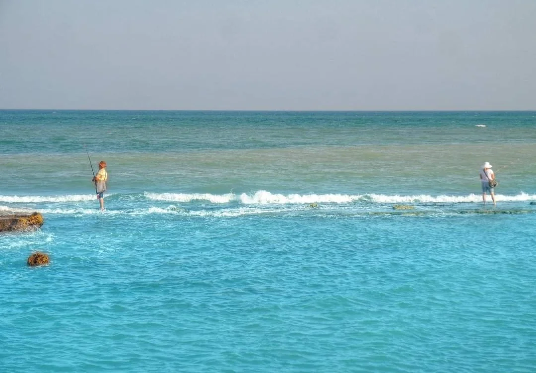 Screenshot_20240306_211226_Facebook