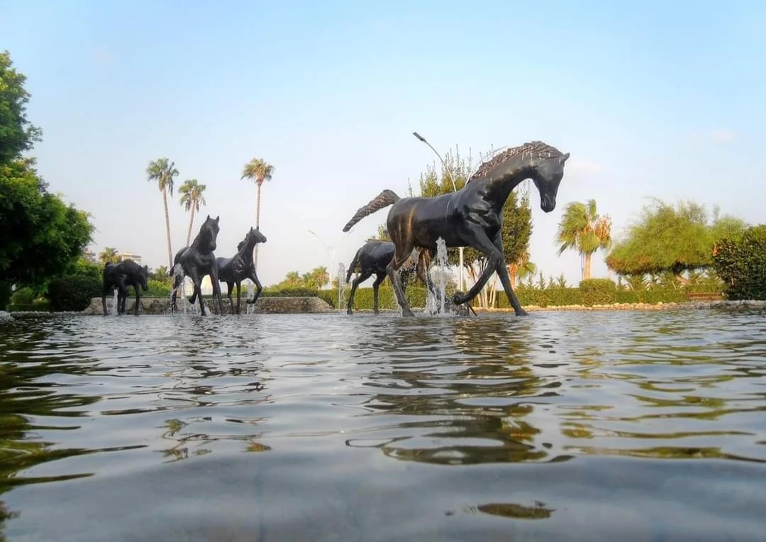 Screenshot_20240306_211436_Facebook