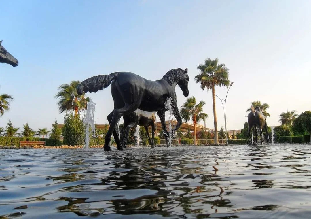 Screenshot_20240306_211443_Facebook