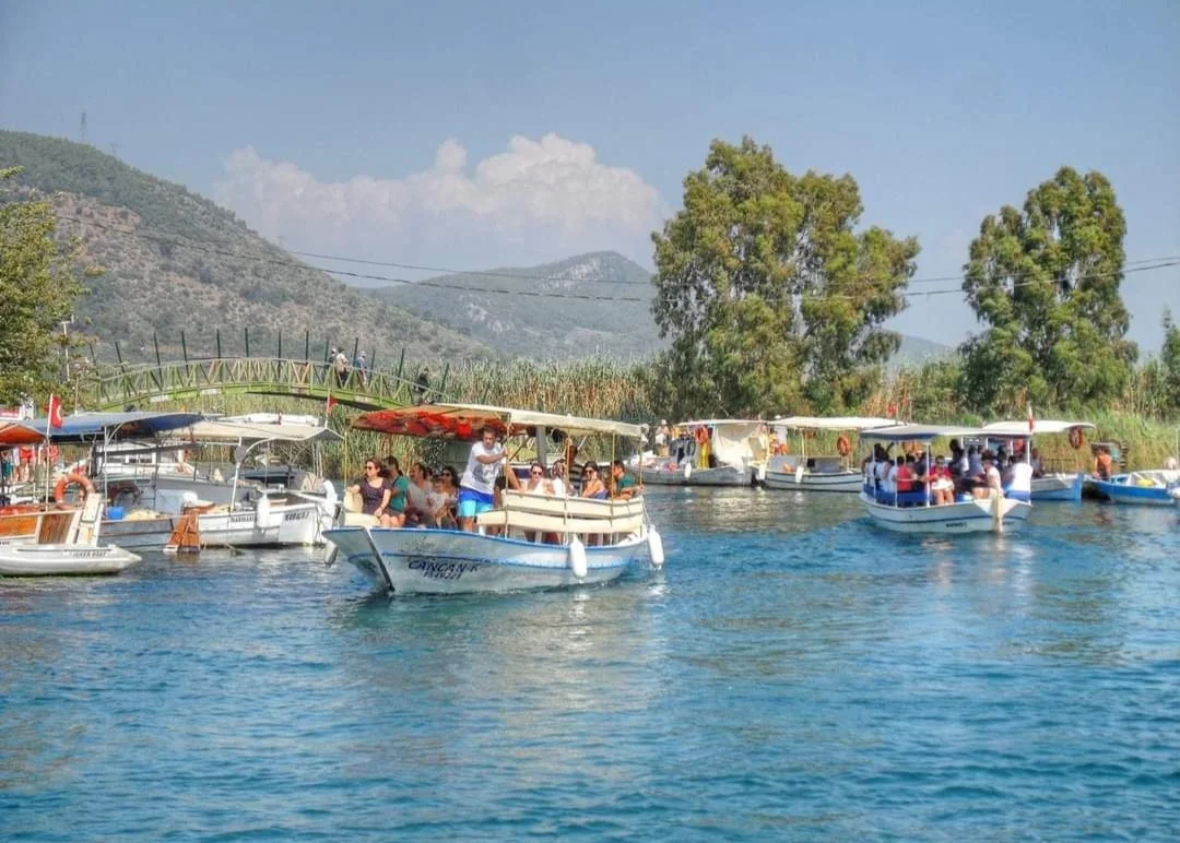 Screenshot_20240307_162032_Facebook