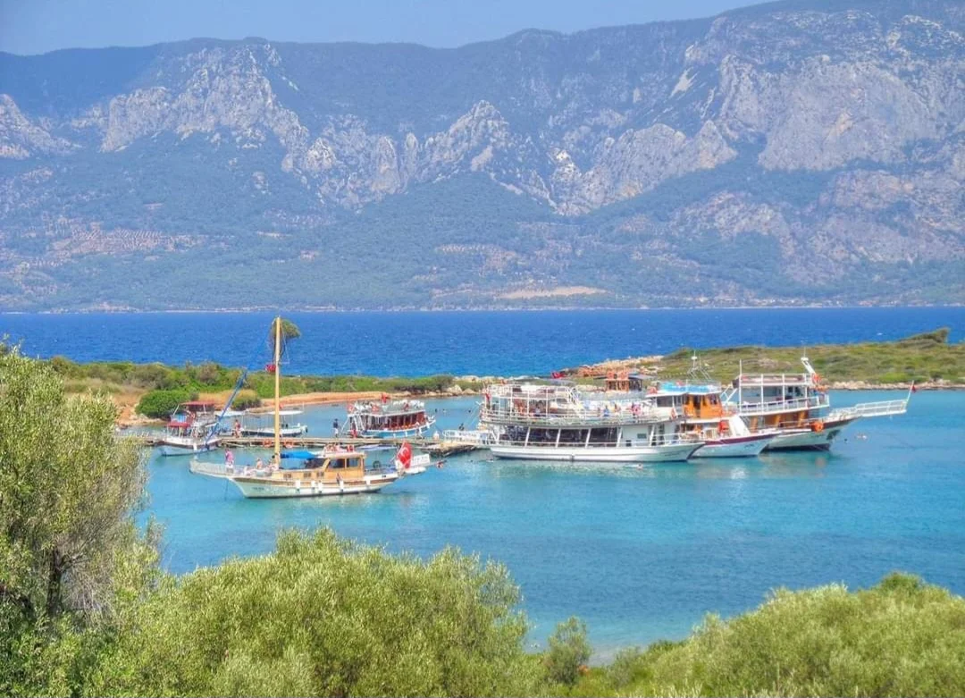 Screenshot_20240307_162432_Facebook