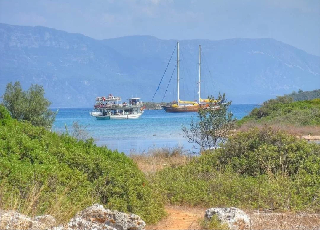 Screenshot_20240307_162450_Facebook