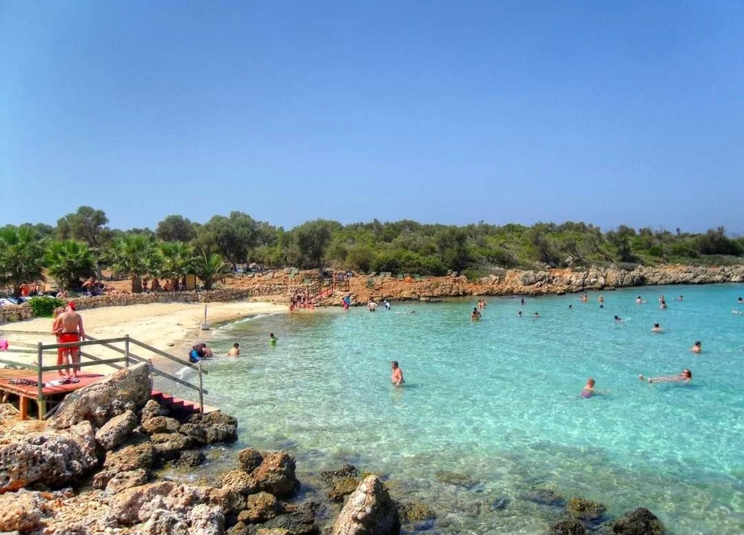 Screenshot_20240307_162511_Facebook