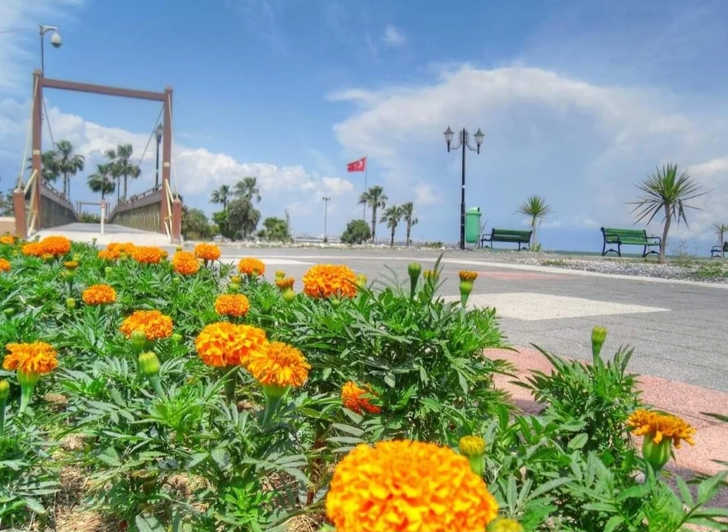 Screenshot_20240307_182323_Facebook