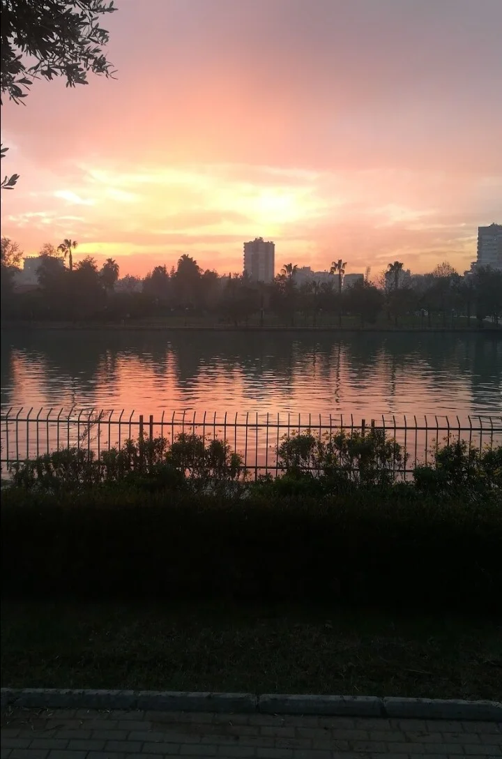 Screenshot_20240309-082934_1