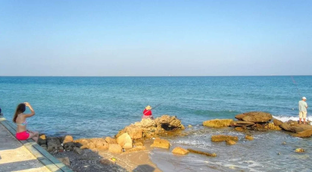 Screenshot_20240315_034109_Facebook