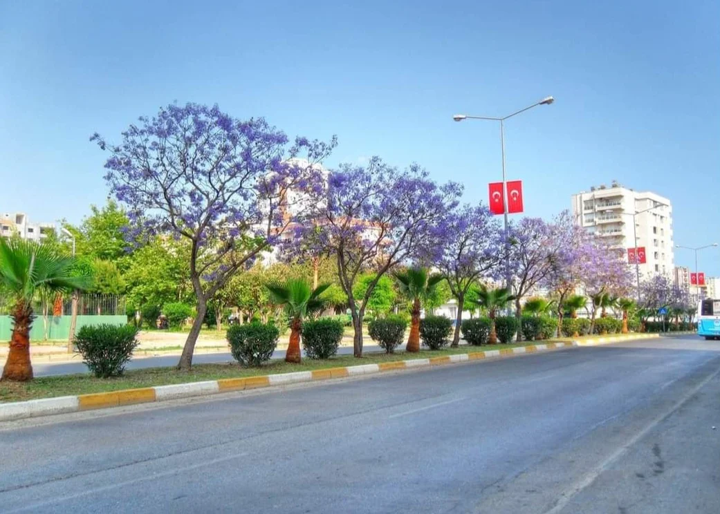 Screenshot_20240315_184606_Facebook