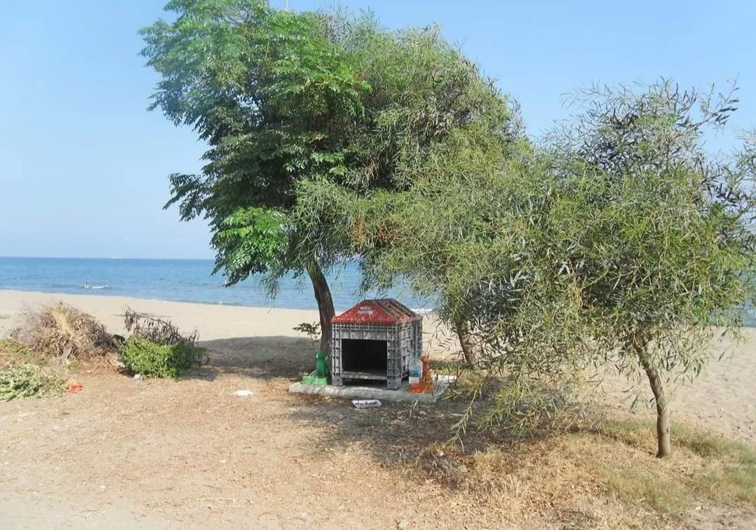 Screenshot_20240319_230253_Facebook