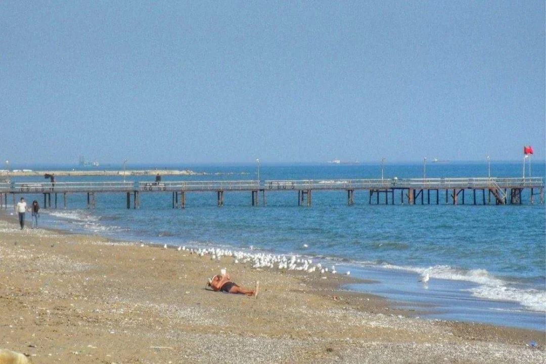 Screenshot_20240327_232943_Facebook