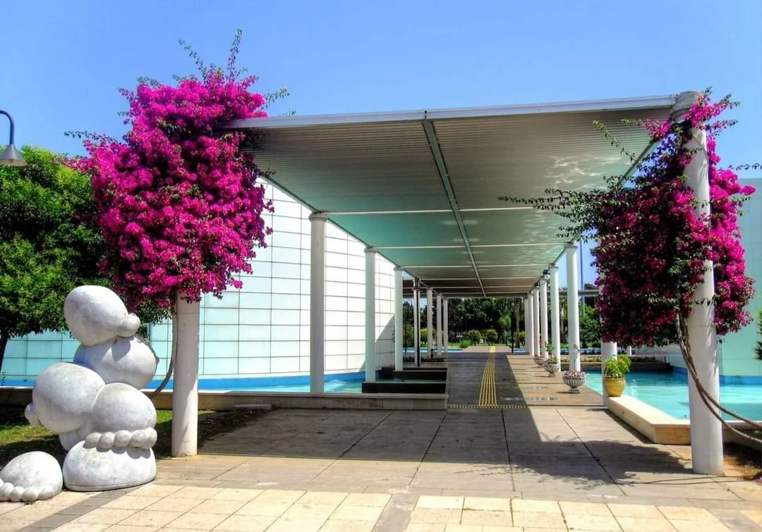 Screenshot_20240328_224909_Facebook