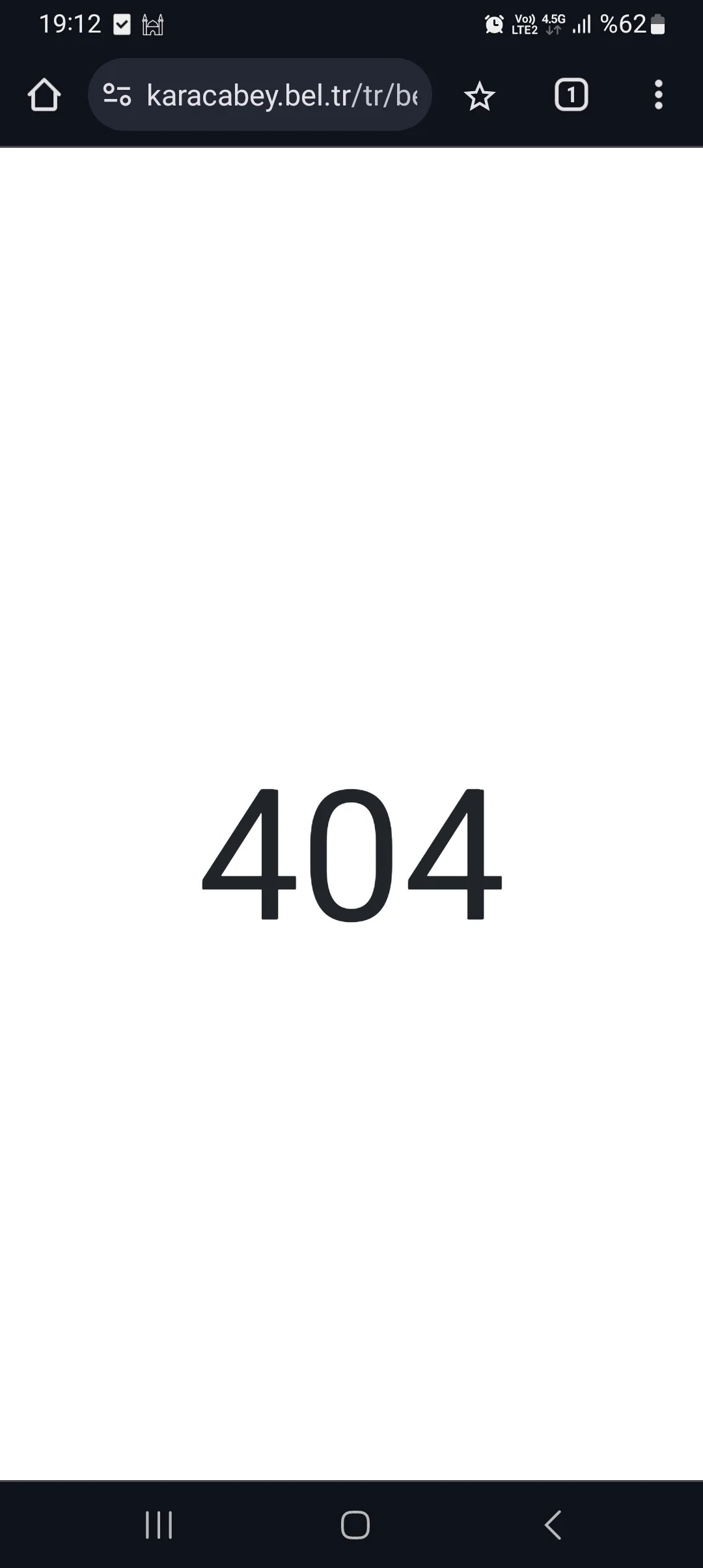 Screenshot_20240429_191204_Chrome