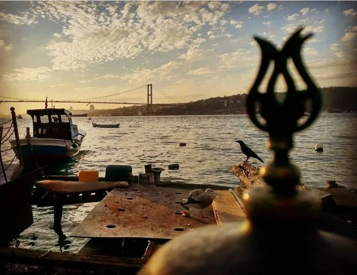 Screenshot_20240707-231046_Instagram