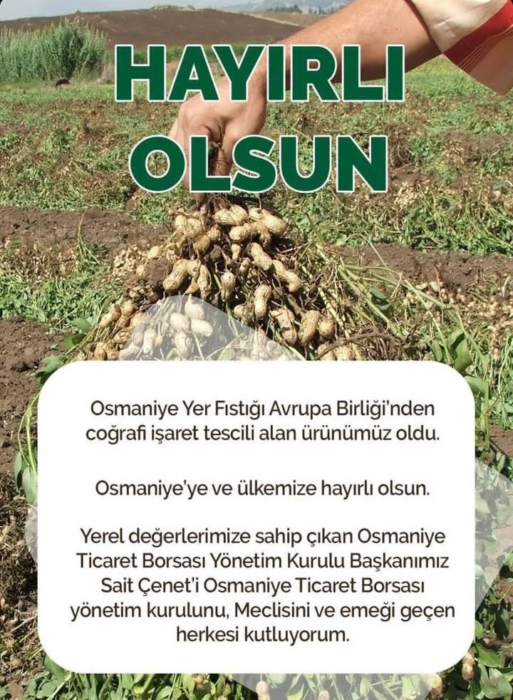 Screenshot_20240710-184020~2