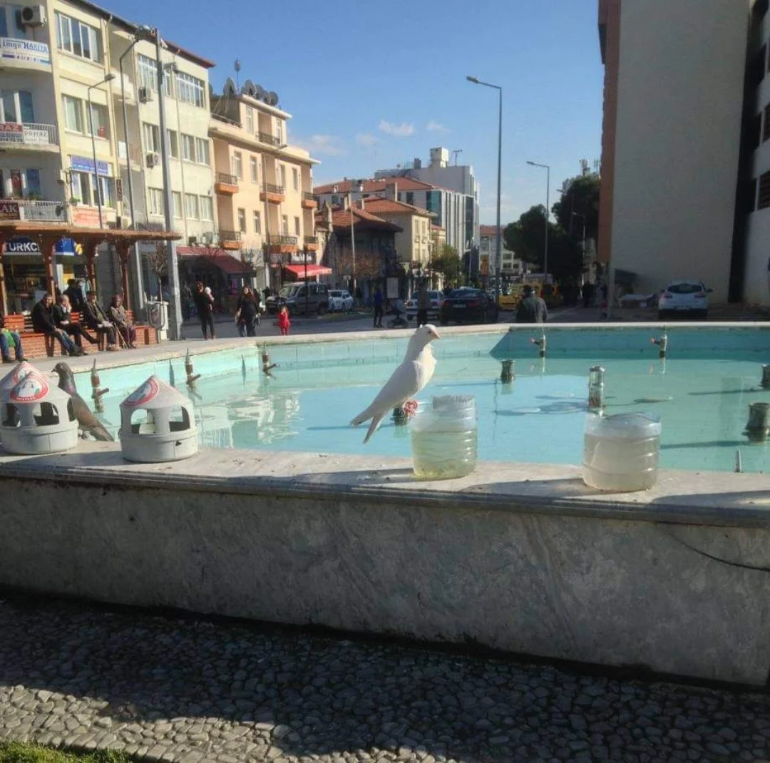 Screenshot_20240720_170115_Facebook