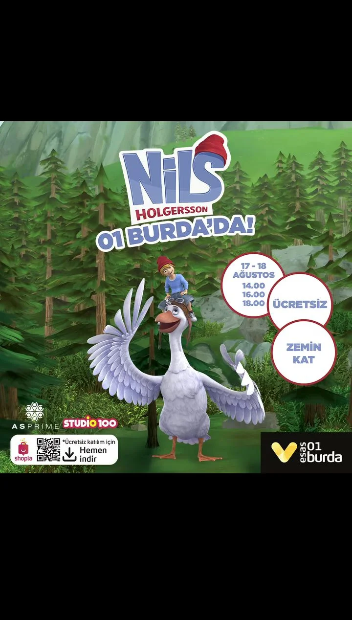 Screenshot_20240813-212457