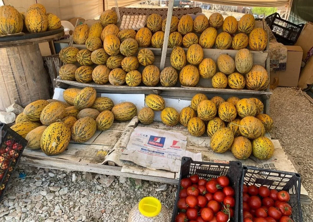 Screenshot_20240906_155259_Instagram