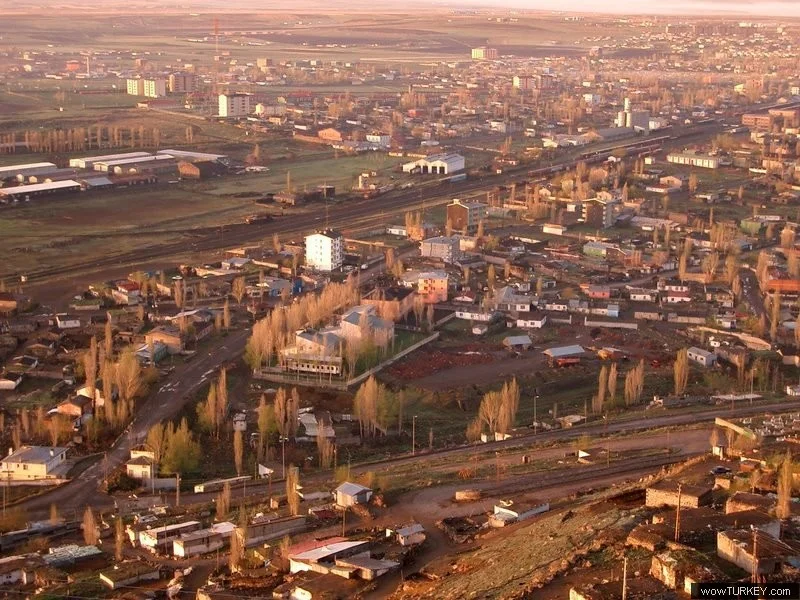 sefer__bayraktar_saffet_2891