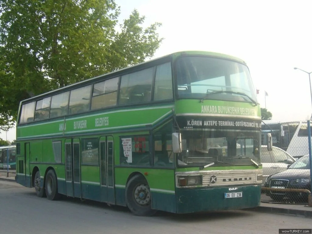 setra 228 dt 11.webp
