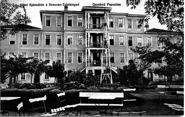 splendidoteliçekirge