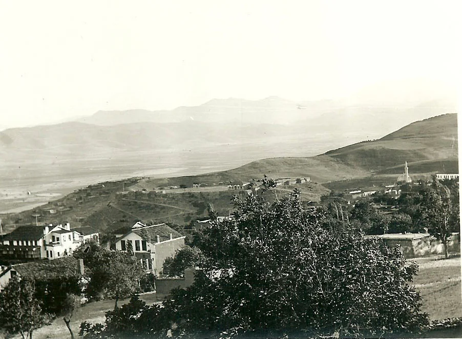 Stanley-Kerr-Lions-Of-Maras2