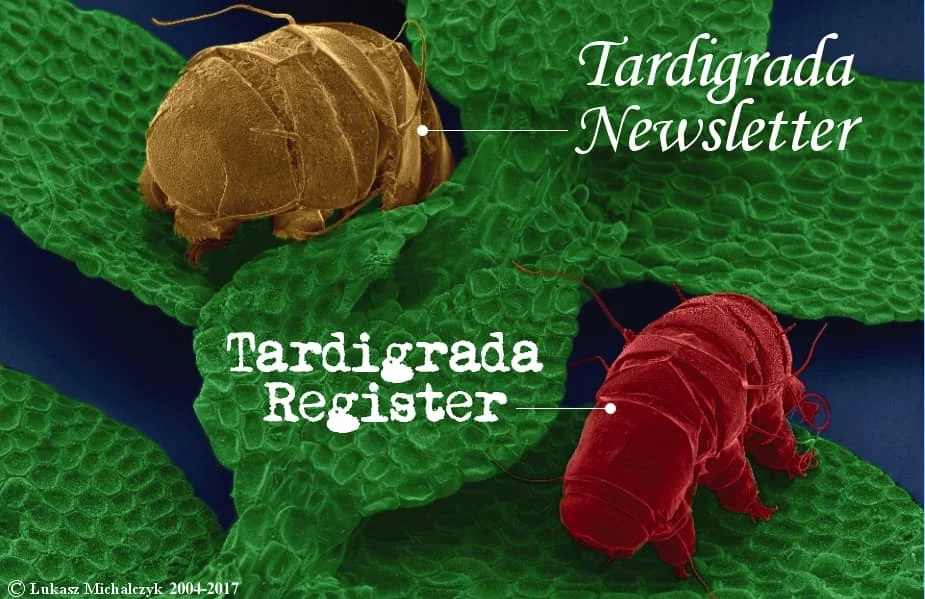 tardigrad14