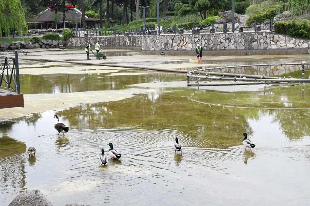 temizlik_calismalari_2