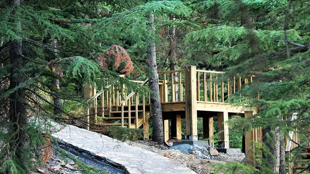 thumbs-b-c-8ef8a03d1025902ebb9718503961ad52