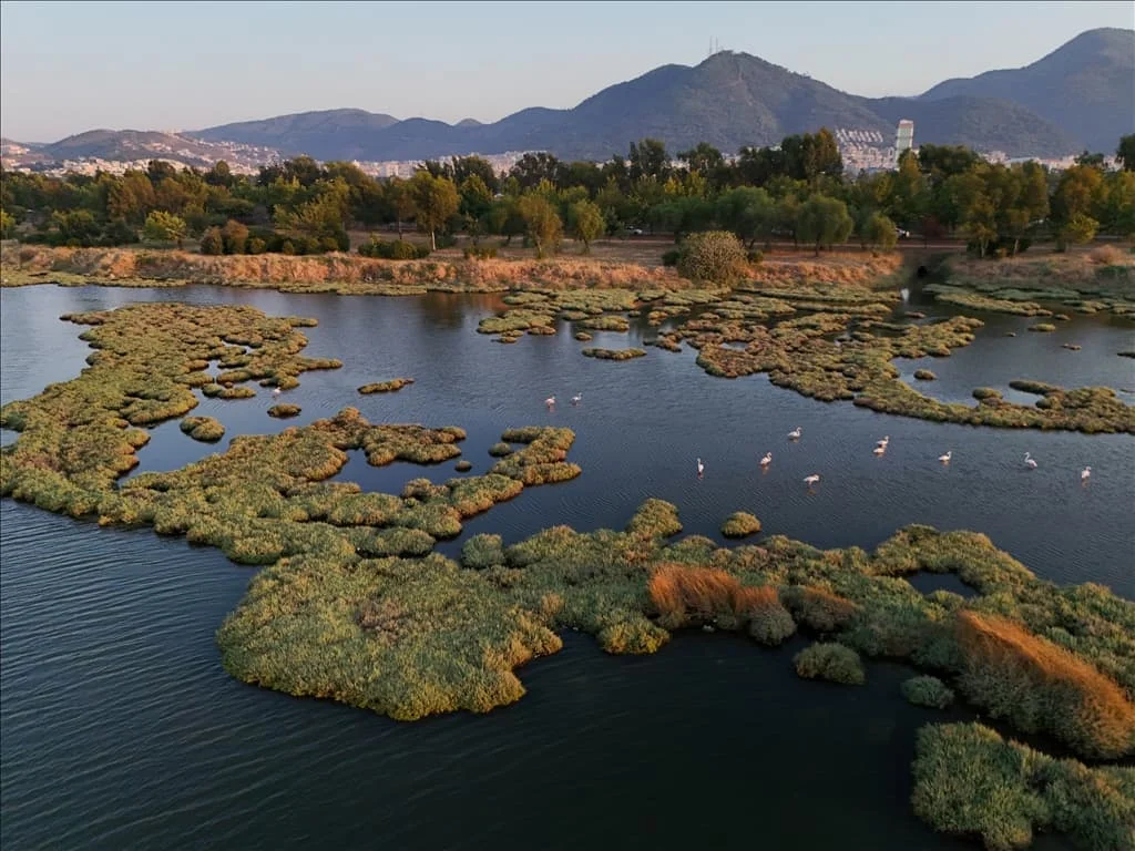 thumbs_b2_1b27962b9d7aba8deb55be904e90fb0e