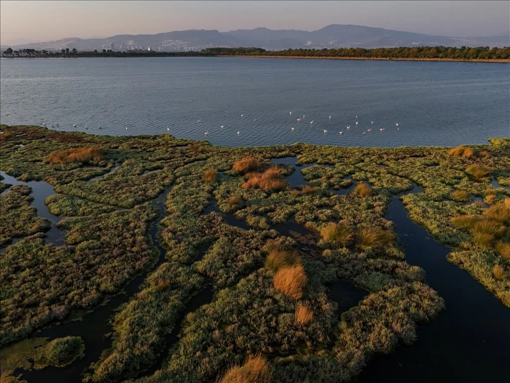 thumbs_b2_2900ca922eb7e960cb715f3b841aaec8