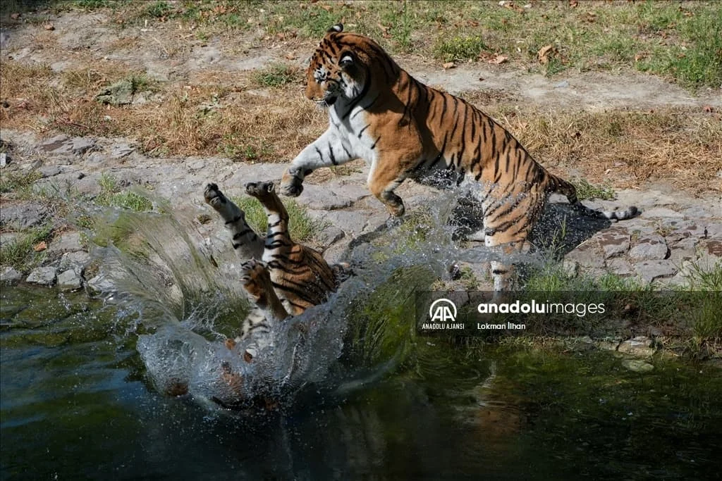 thumbs_b2_3b2505ff6bd5a64e86761544561dc447