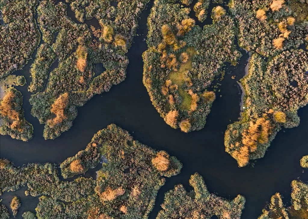 thumbs_b2_45216076f5857fd3eb23f4b55cc6dbf5