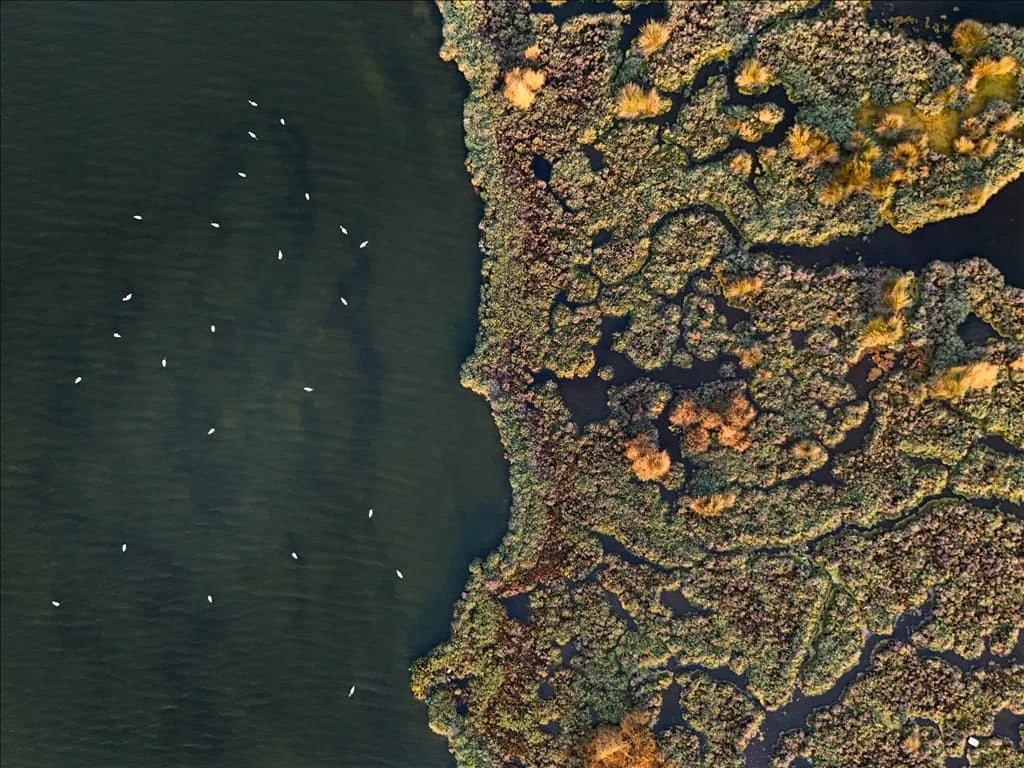 thumbs_b2_4b7f04ef2bf5bce84034d605040f6a18