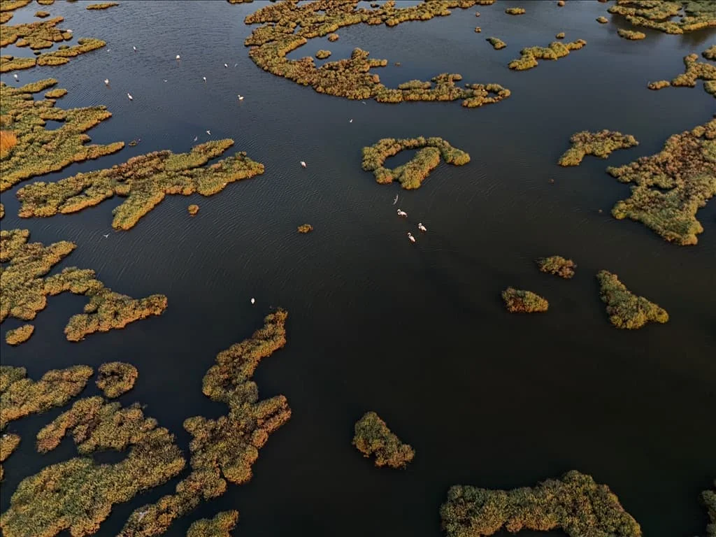 thumbs_b2_6a314be16deddc2ce7bbc97001fd83e4