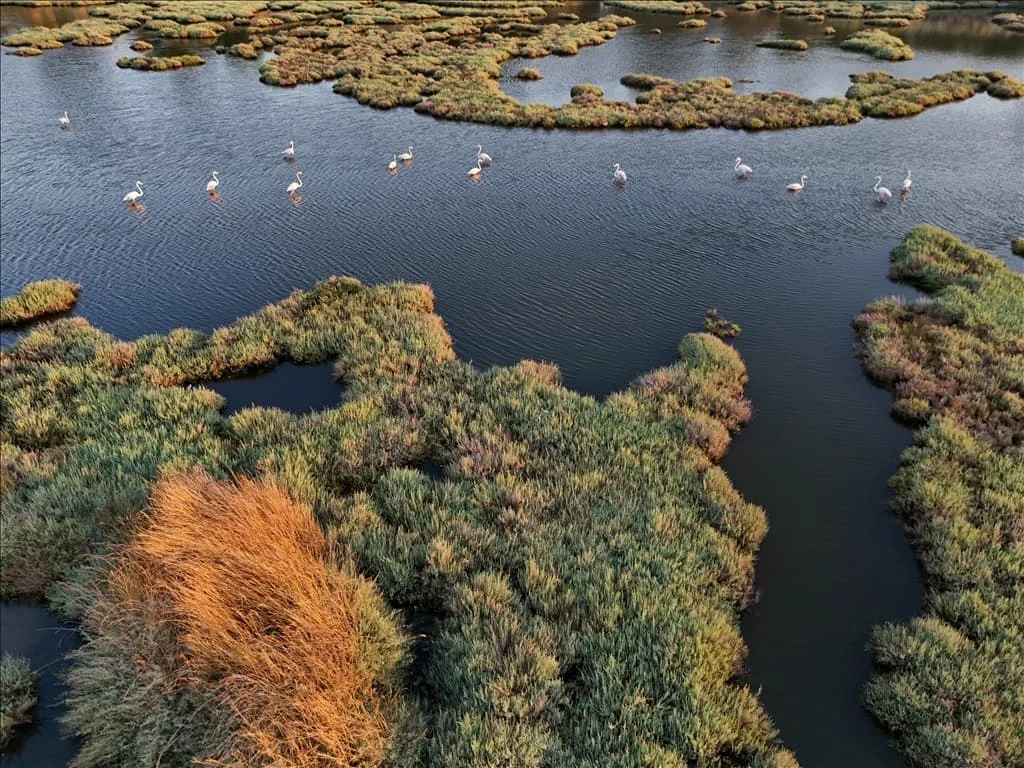 thumbs_b2_6b6e84e82970e530d17d8dcc63477d86