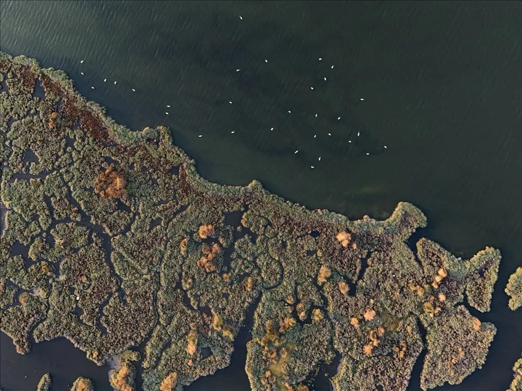 thumbs_b2_8881471d40ef10b725feb50e74ad6680