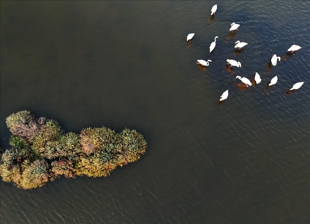 thumbs_b2_942009f63e149d34c1fb5e2b10274fd3