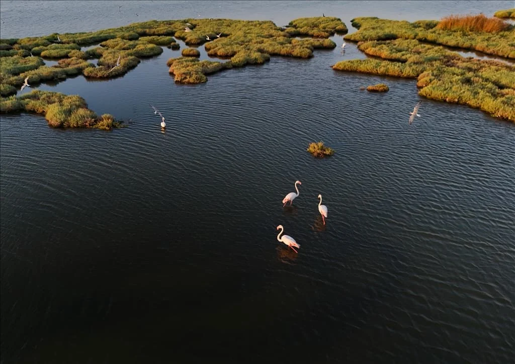 thumbs_b2_95d60064f79ee429f23d0187d99a8c6f