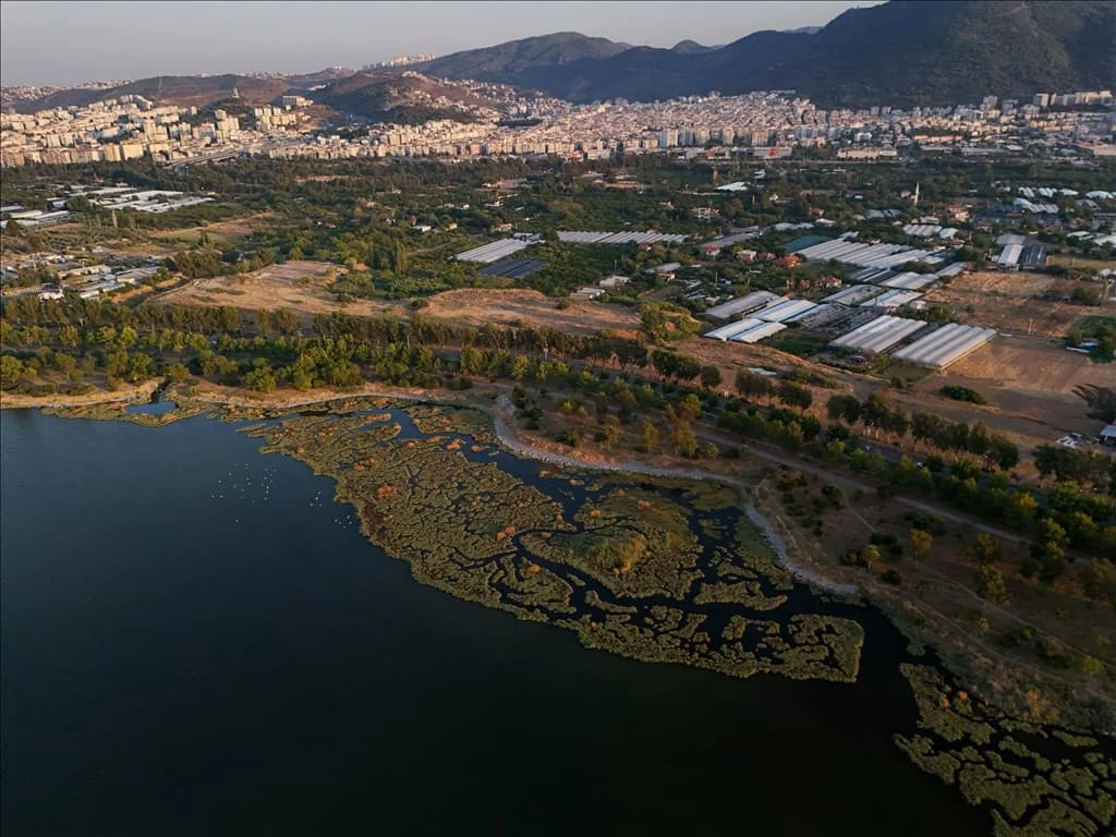 thumbs_b2_ac5e8e76195c0ff172c02827cd70ff91