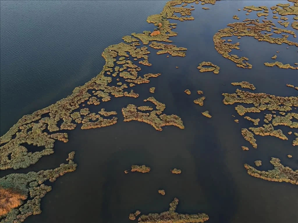 thumbs_b2_b22ddf14e96dbc279135189a54b9bdd8