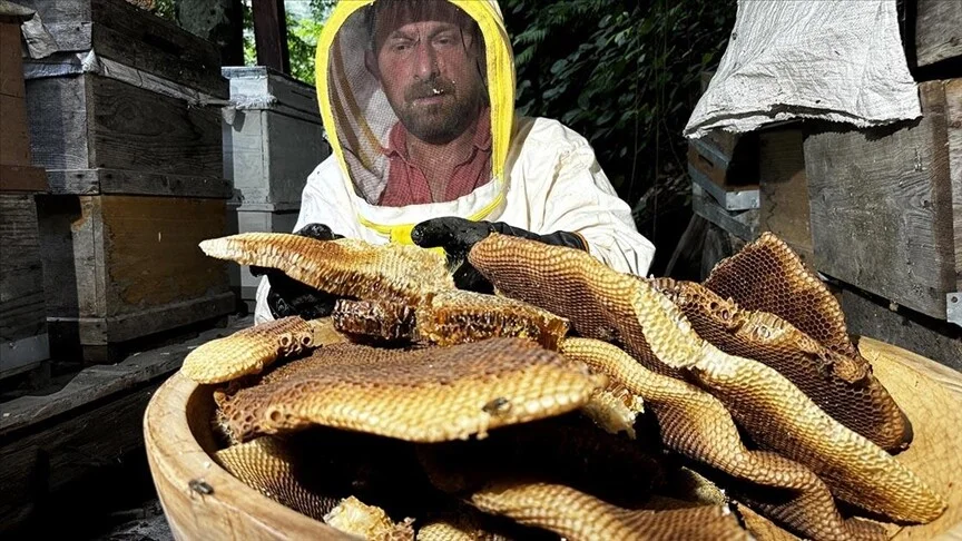 thumbs_b_c_037b7d0cc4eb28a01711f5635892d28c